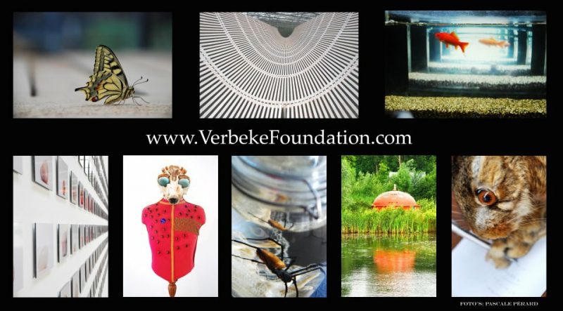 In permanente wording – Verbeke Foundation