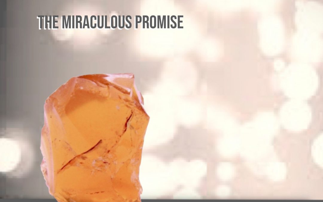 The Miraculous Promise – Tweede kortfilm